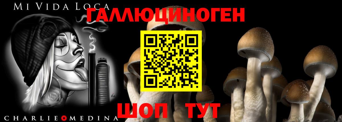 Зеленокумск  Псилоцибиновые грибы Cubensis  Галлюциногенные грибы мухоморы  Вход с VPN 